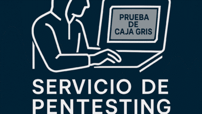 Servicio de Pentesting caja Gris